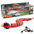 Smart Sensing Snake