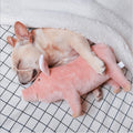 Pig Chew Toys For Dog - Funny Durable Plush Dog Toys