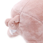 Pig Chew Toys For Dog - Funny Durable Plush Dog Toys