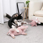 Pig Chew Toys For Dog - Funny Durable Plush Dog Toys