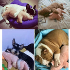 Pig Chew Toys For Dog - Funny Durable Plush Dog Toys