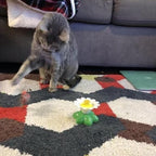 Interactive Bird Toy For Cat