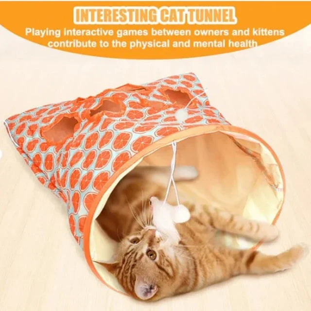 Cat Play Tunnel 😸