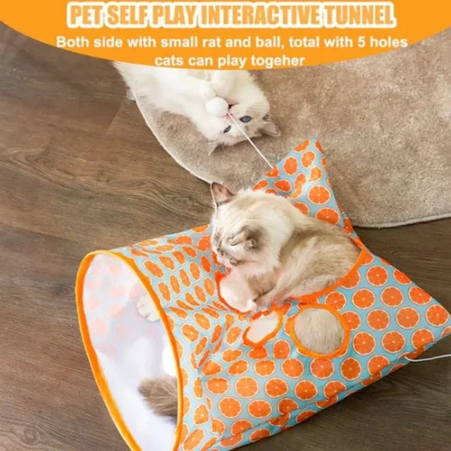 Cat Play Tunnel 😸