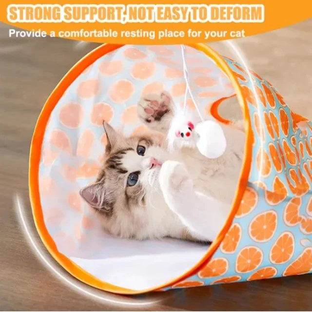 Cat Play Tunnel 😸
