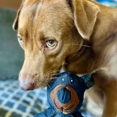 Ultra Durable Chew Toy