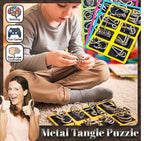 3D Metal Challenge Puzzle Toy