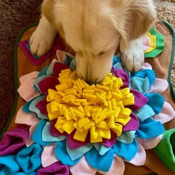 Sniff & Seek Play Mat
