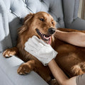 Clean Paw – Pet Wipe Glove