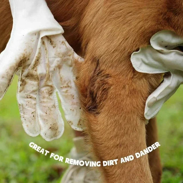 Clean Paw – Pet Wipe Glove