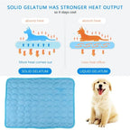 Cool Pad – The #1 Cooling Mat