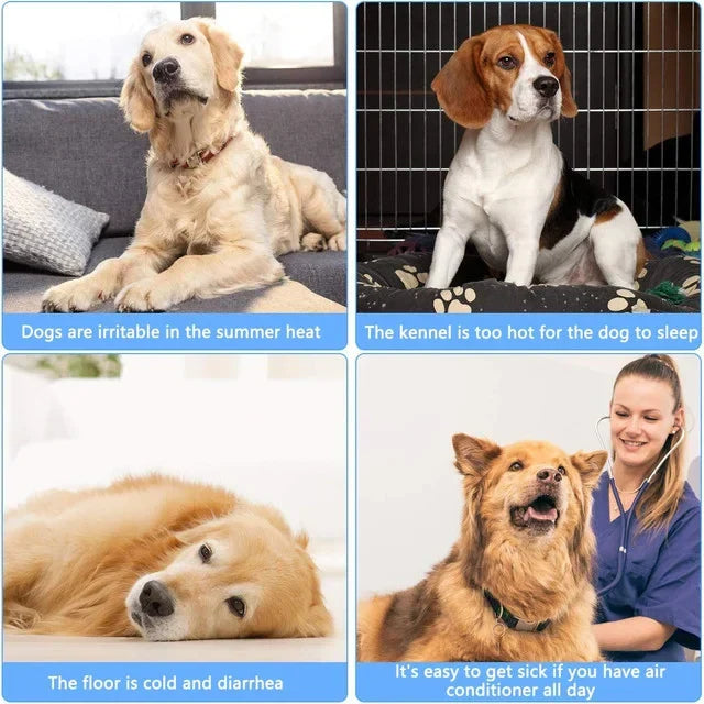 Cool Pad – The #1 Cooling Mat