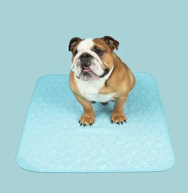 Reusable, Leak-Proof Training Pad for Pets