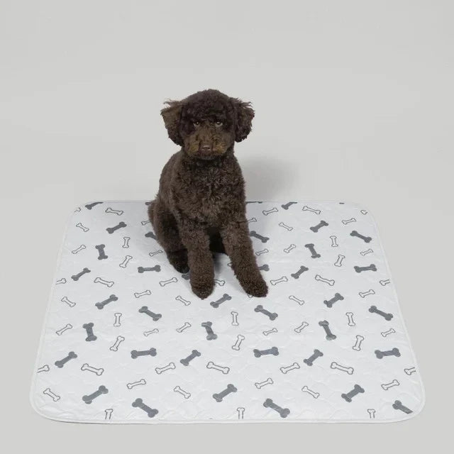 Reusable, Leak-Proof Training Pad for Pets