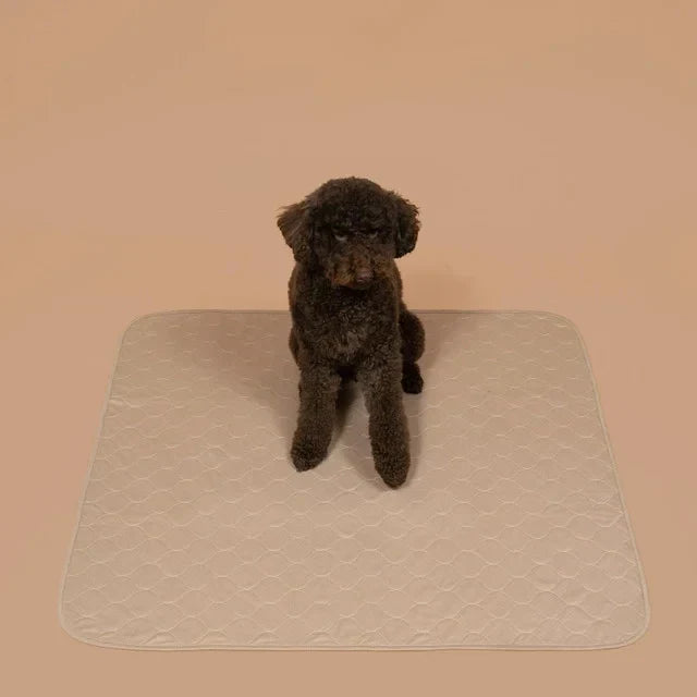 Reusable, Leak-Proof Training Pad for Pets