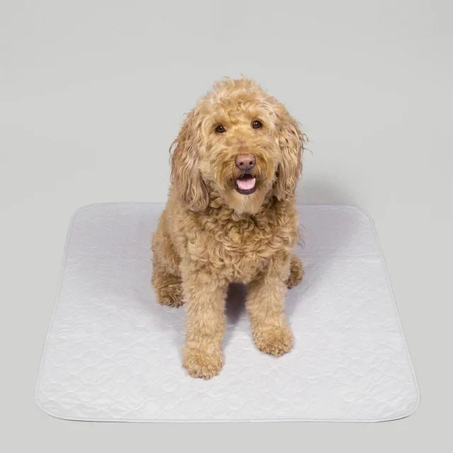 Reusable, Leak-Proof Training Pad for Pets