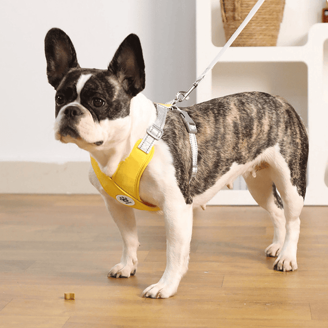 X-Shape Pet Harness Vest