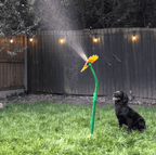 Spinning Water Sprinkler Toy for Dogs