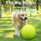 Dog Tennis Ball