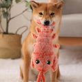 Floppy Lobster Interactive Dog Toys🐶