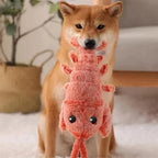 Floppy Lobster Interactive Dog Toys🐶