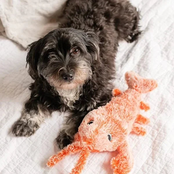 Floppy Lobster Interactive Dog Toys🐶