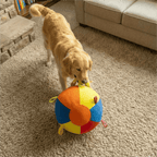 The Giant Ball Causes a Sensation
