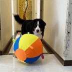 The Giant Ball Causes a Sensation