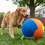 The Giant Ball Causes a Sensation