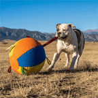 The Giant Ball Causes a Sensation