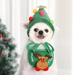 Christmas Tree Pom-Pom Hat
