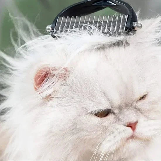 Purrfect Brush Duo