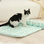 Paw Well Mat