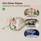 Natural Cotton Rope Chew Toy