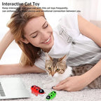 Electronic Interactive Cat Toy for Indoor Cats