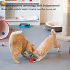 Electronic Interactive Cat Toy for Indoor Cats