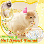 The Magical Spiral Tunnel