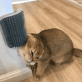 Cat Self Grooming Brush😸