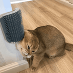 Cat Self Grooming Brush😸