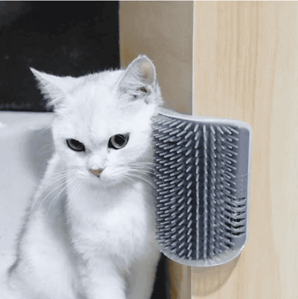 Cat Self Grooming Brush😸