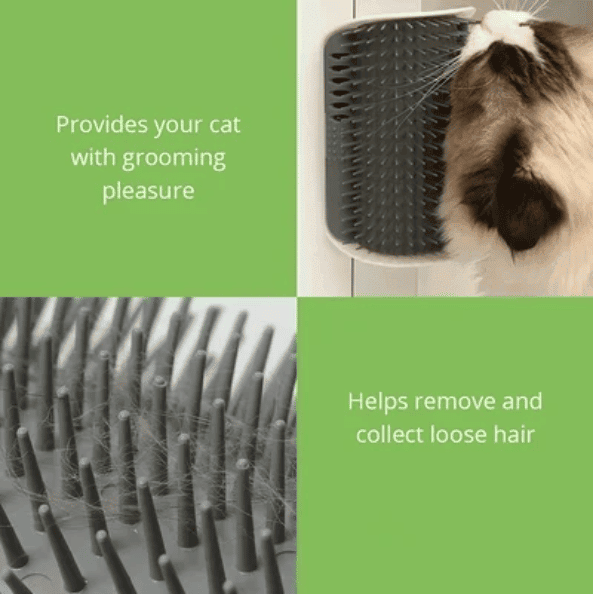 Cat Self Grooming Brush😸