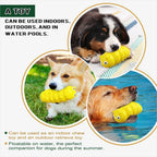 Squeaky Chew Ball