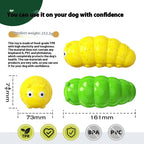 Squeaky Chew Ball