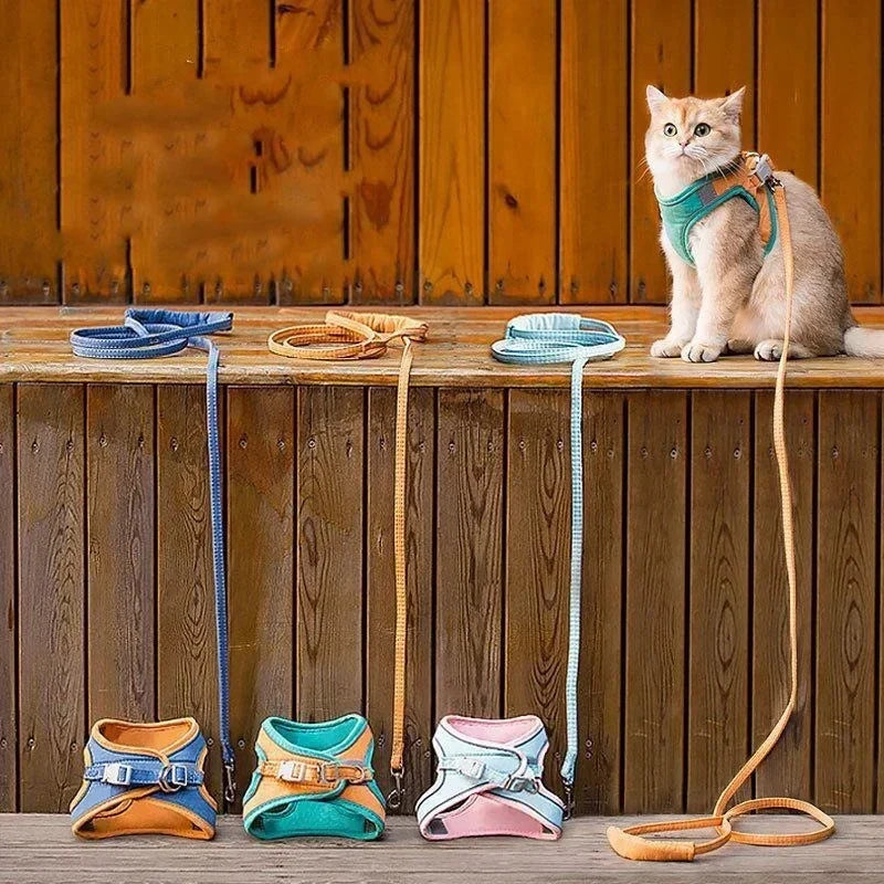 Luminous Cat Vest Harness and Leash Set😸