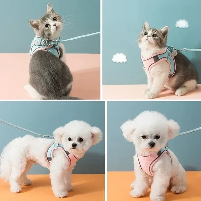 Luminous Cat Vest Harness and Leash Set😸