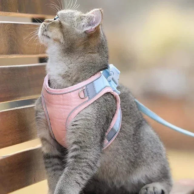 Luminous Cat Vest Harness and Leash Set😸
