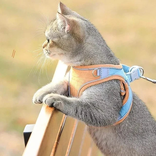 Luminous Cat Vest Harness and Leash Set😸