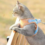 Luminous Cat Vest Harness and Leash Set😸