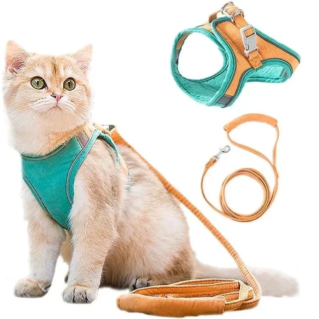 Luminous Cat Vest Harness and Leash Set😸