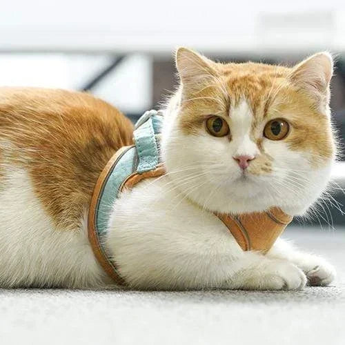 Luminous Cat Vest Harness and Leash Set😸